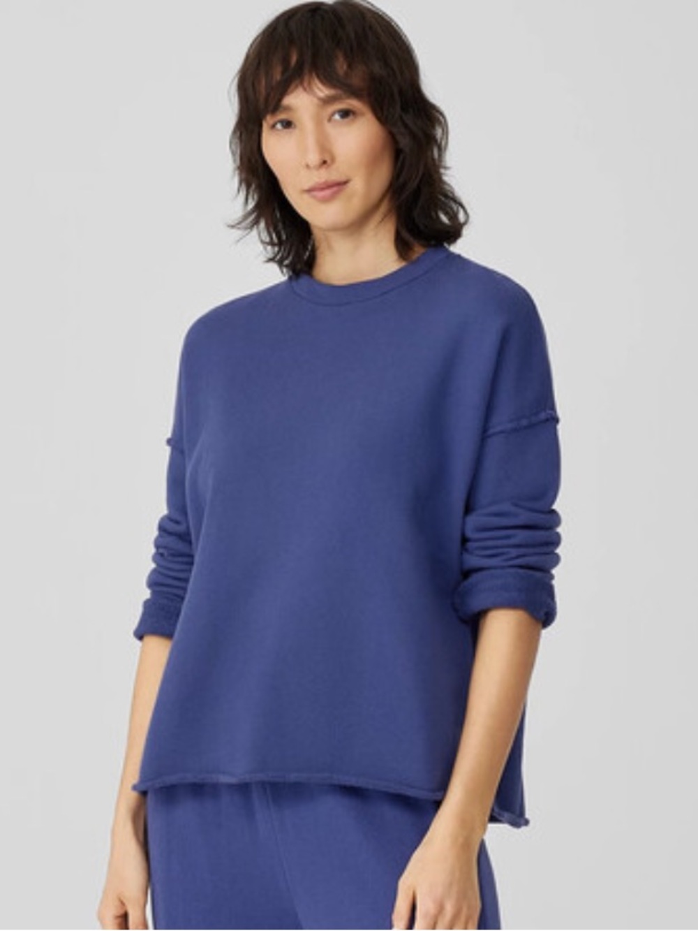 EILEEN FISHER Sweatshirt Size L Organic Cotton French Terry Boxy Fit Iris Blue